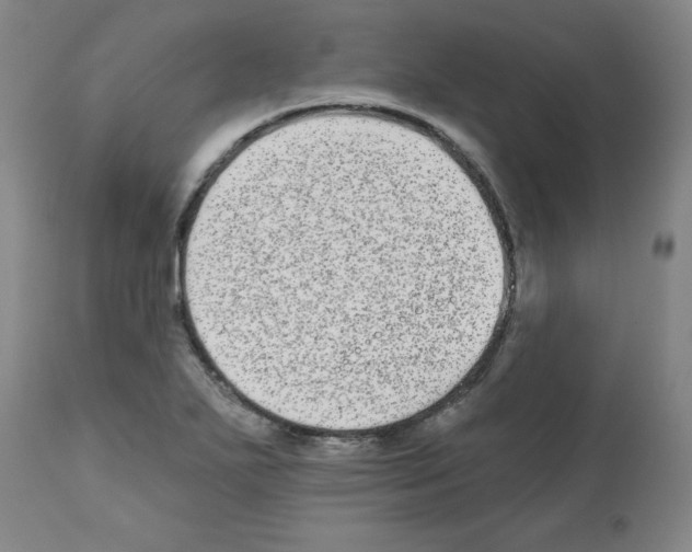 X0000112481271200909281101