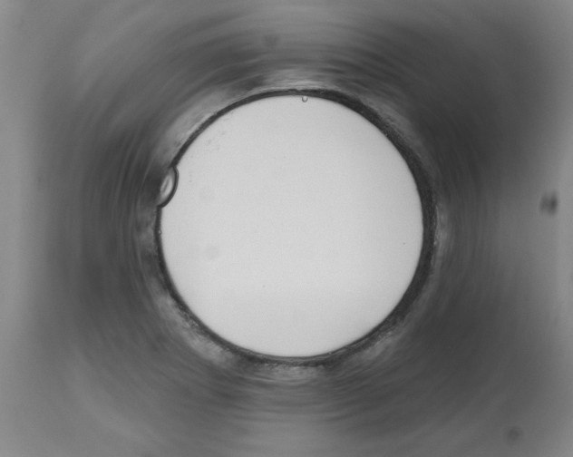 X0000112481273200909281101