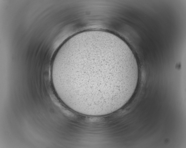 X0000112481274200909281101