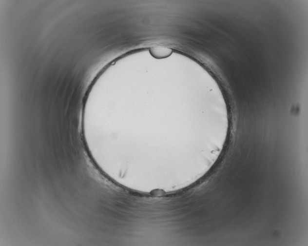 X0000112481276200909281101