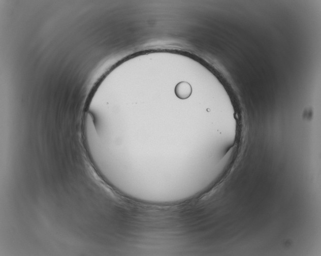 X0000112481277200909281101