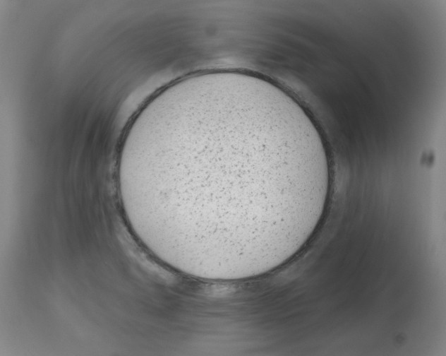 X0000112481278200909281101