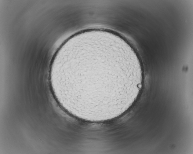 X0000112481279200909281101