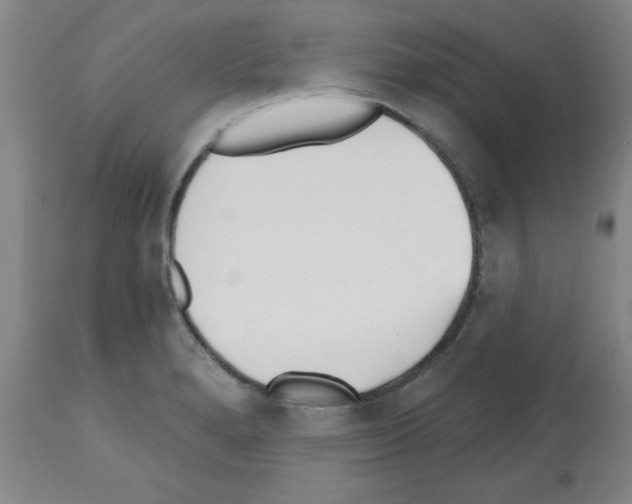 X0000112481280200909281101