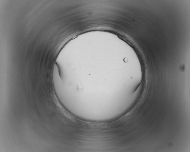 X0000112481281200909281101