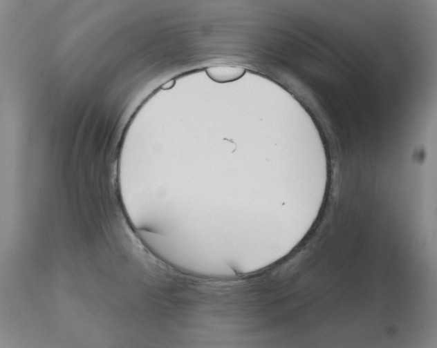 X0000112481284200909281100