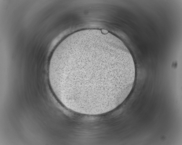 X0000112481286200909281100