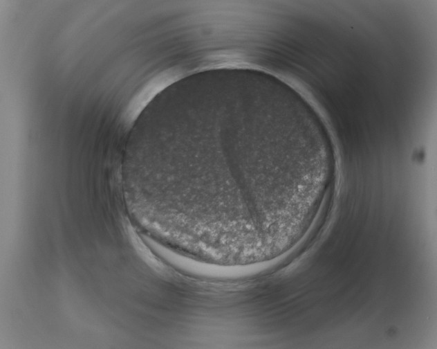 X0000112481289200909281100