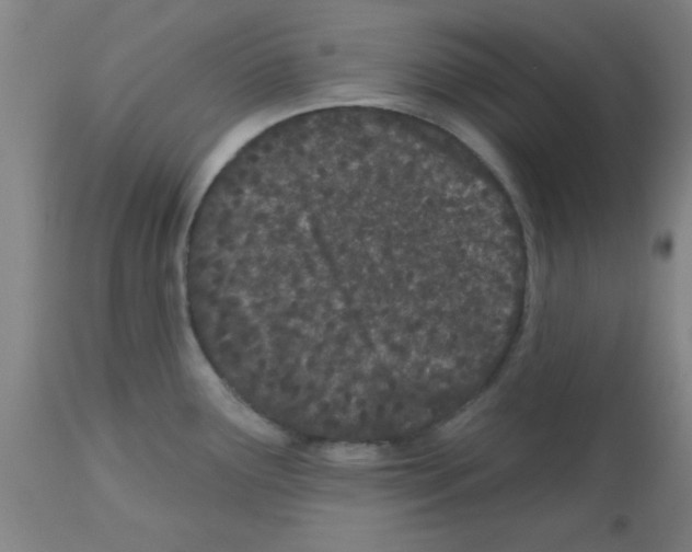 X0000112481291200909281100