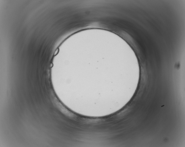 X0000112481292200909281100