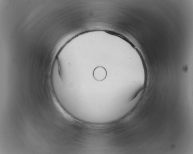 X0000112481293200909281100