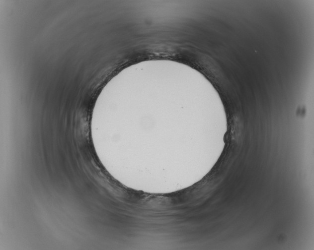 X0000112481298200909281059