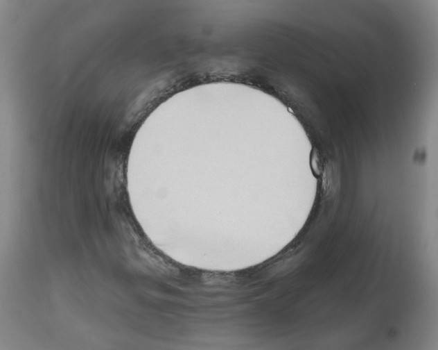 X0000112481299200909281059