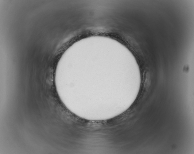 X0000112481301200909281100