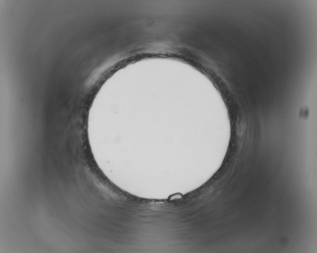 X0000112481304200909281100