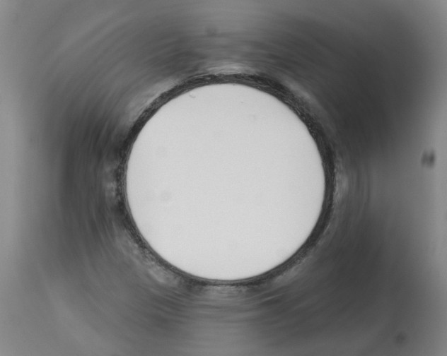 X0000112481305200909281100