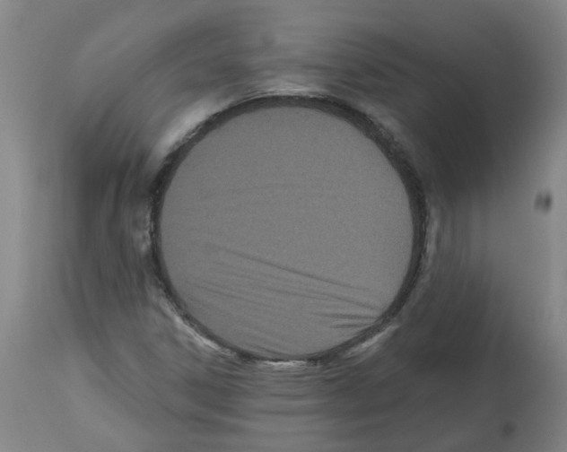 X0000112481306200909281100