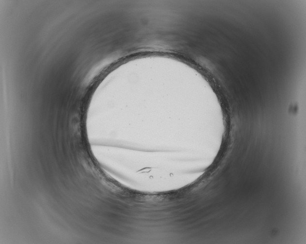 X0000112481307200909281100