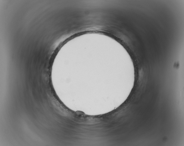 X0000112481308200909281100