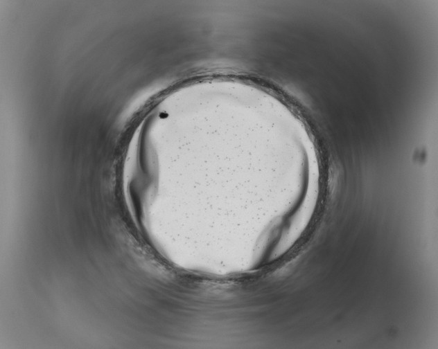 X0000112481309200909281100