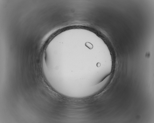 X0000112481310200909281100