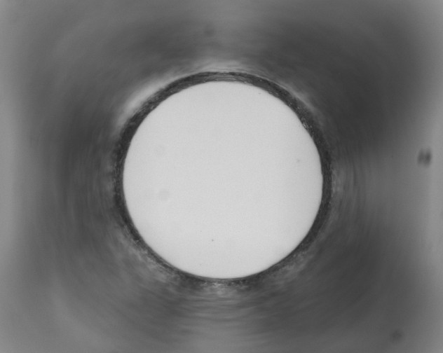 X0000112481311200909281100