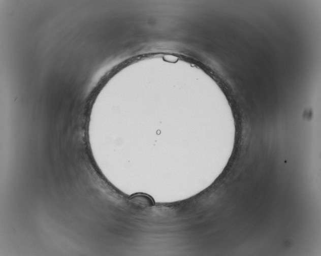 X0000112481312200909281100