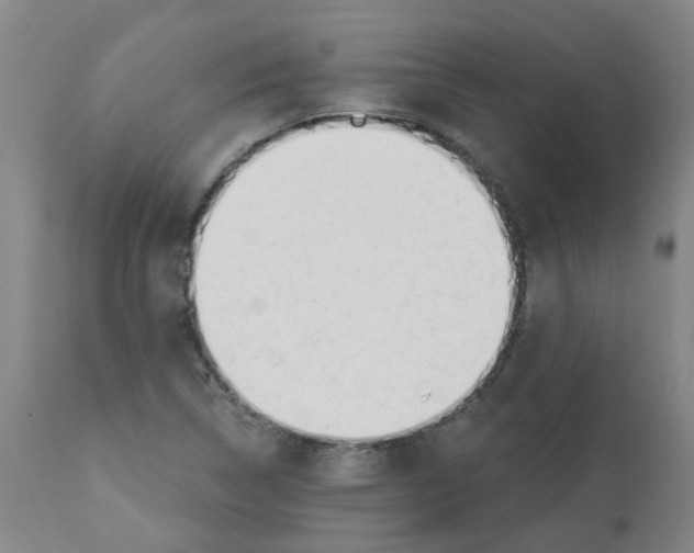 X0000112481314200909281100