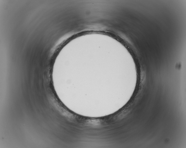 X0000112481315200909281100