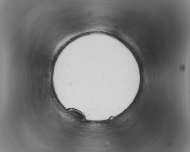 X0000112481316200909281100