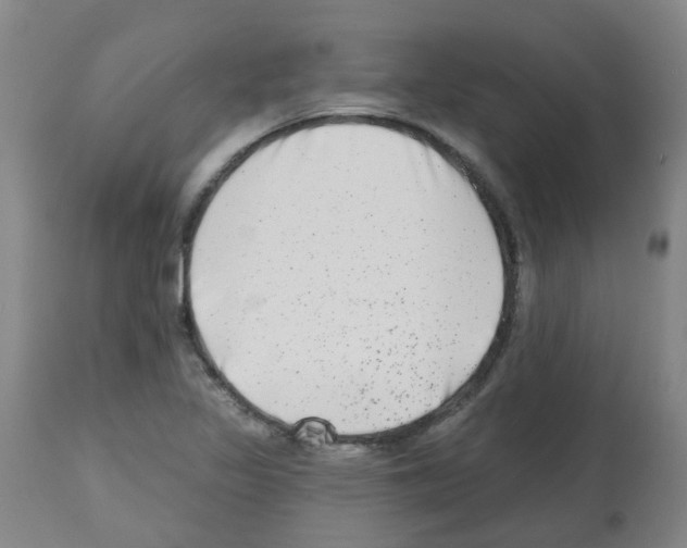 X0000112481317200909281100