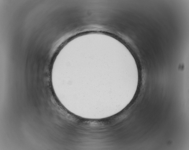 X0000112481318200909281100