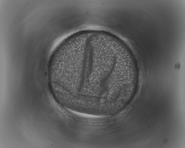 X0000112481319200909281100