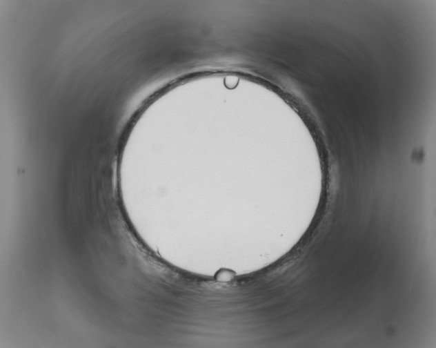 X0000112481320200909281100