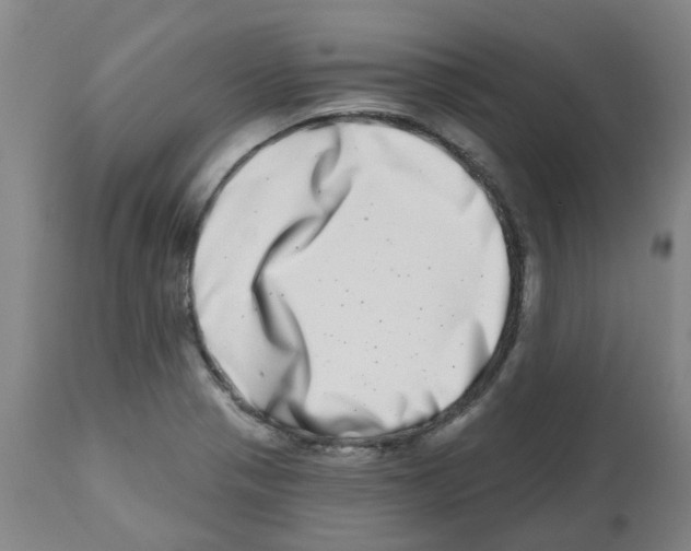 X0000112481321200909281100