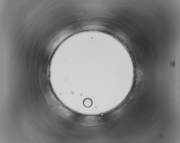 X0000112481322200909281100