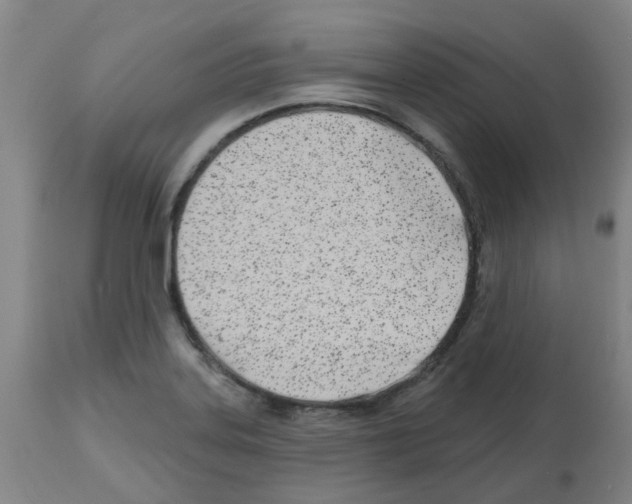 X0000112481323200909281100