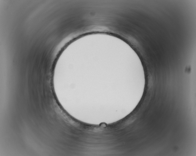 X0000112481326200909281100