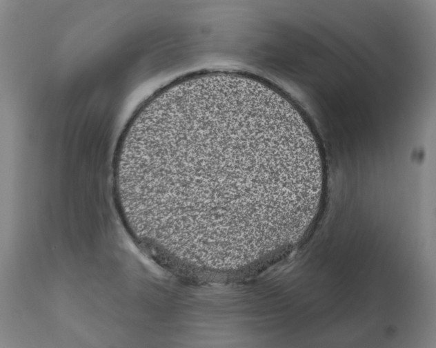 X0000112481327200909281100