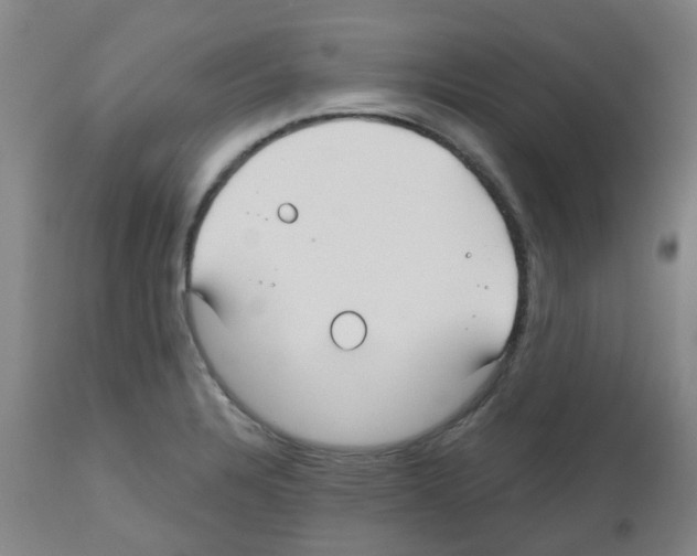 X0000112481328200909281100