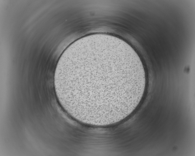 X0000112481329200909281100