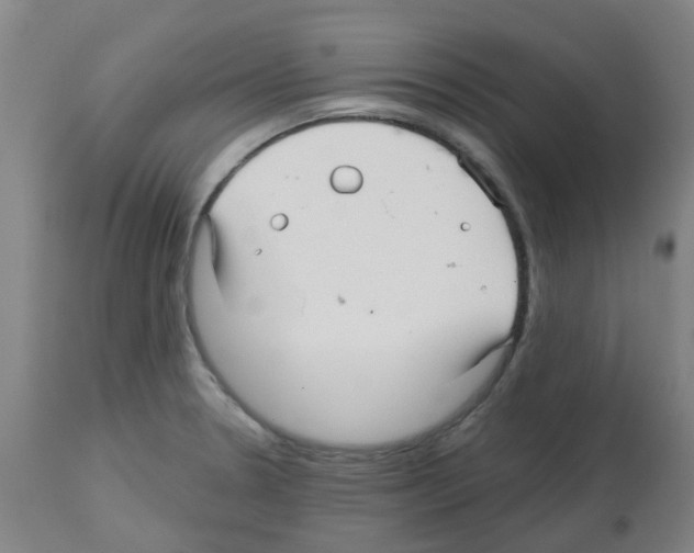 X0000112481330200909281100