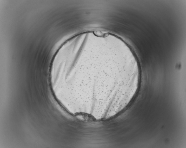 X0000112481333200909281100