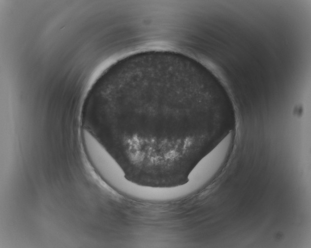 X0000112481334200909281100