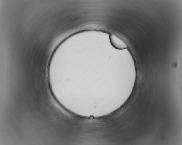 X0000112481335200909281100