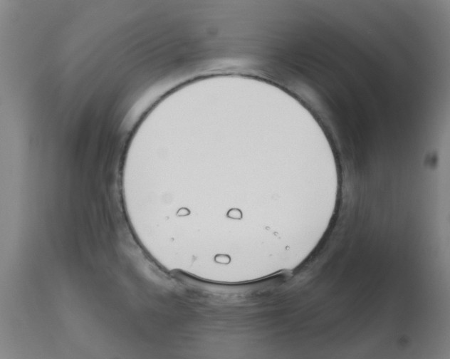 X0000112481336200909281100