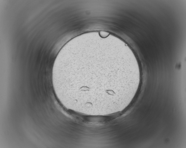 X0000112481337200909281100