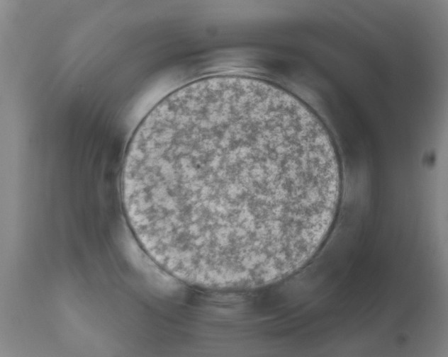 X0000112481338200909281100