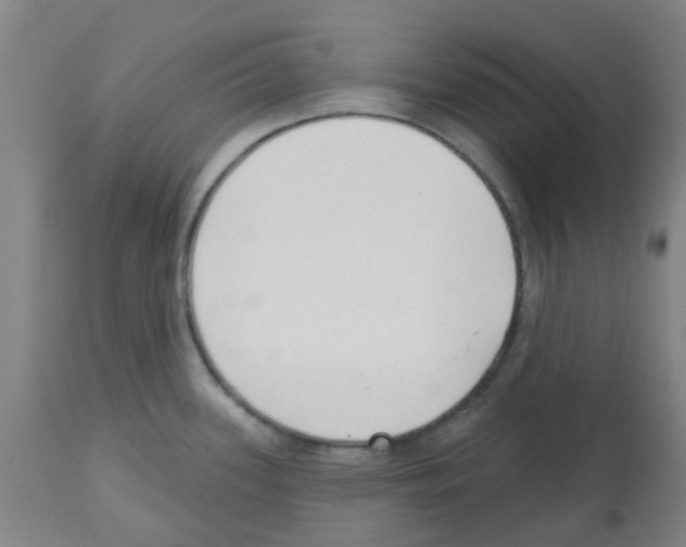 X0000112481339200909281100