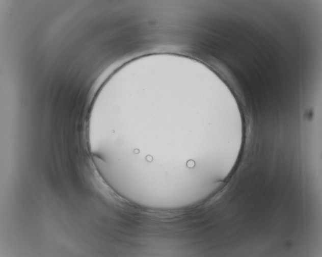 X0000112481340200909281100